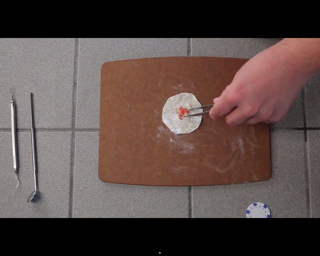 Malusi chomik wcina malusie burrito [VIDEO]