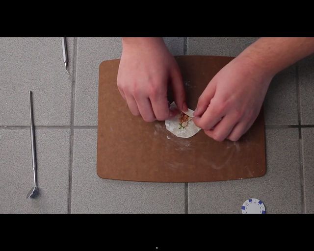 Malusi chomik wcina malusie burrito [VIDEO]