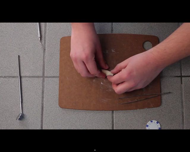 Malusi chomik wcina malusie burrito [VIDEO]