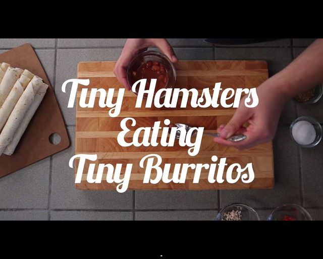 Malusi chomik wcina malusie burrito [VIDEO]