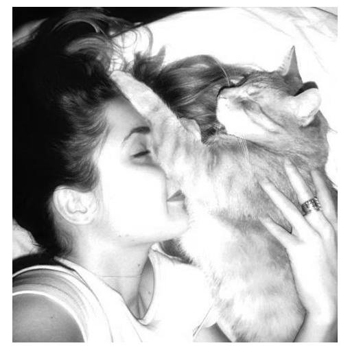 Cleo smutna - odszedł jej kot