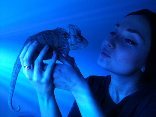 Cleo smutna - odszedł jej kot Cleo smutna - odszedł jej kot