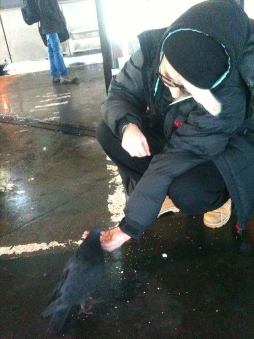 Cleo smutna - odszedł jej kot Cleo smutna - odszedł jej kot