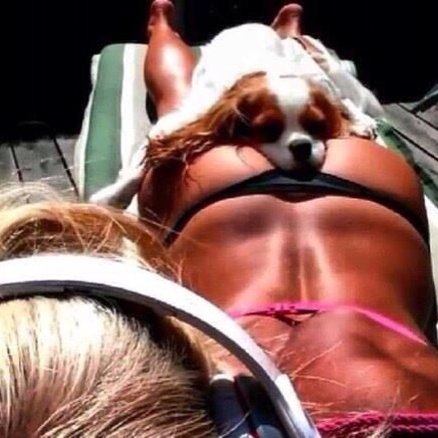 Na takiej pupie położyłby się chętnie nie tylko pies (FOTO)