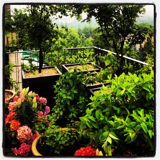 Dawid Woliński ma nietypowe pasje (FOTO)