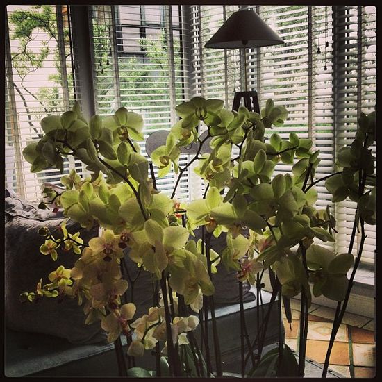 Dawid Woliński ma nietypowe pasje (FOTO)