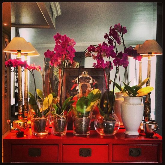 Dawid Woliński ma nietypowe pasje (FOTO)