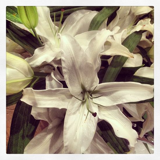 Dawid Woliński ma nietypowe pasje (FOTO)