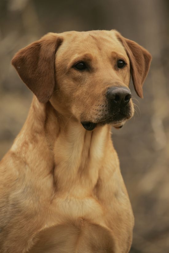 To zdjęcie chłopca chorego na autyzm może wywołać łzy