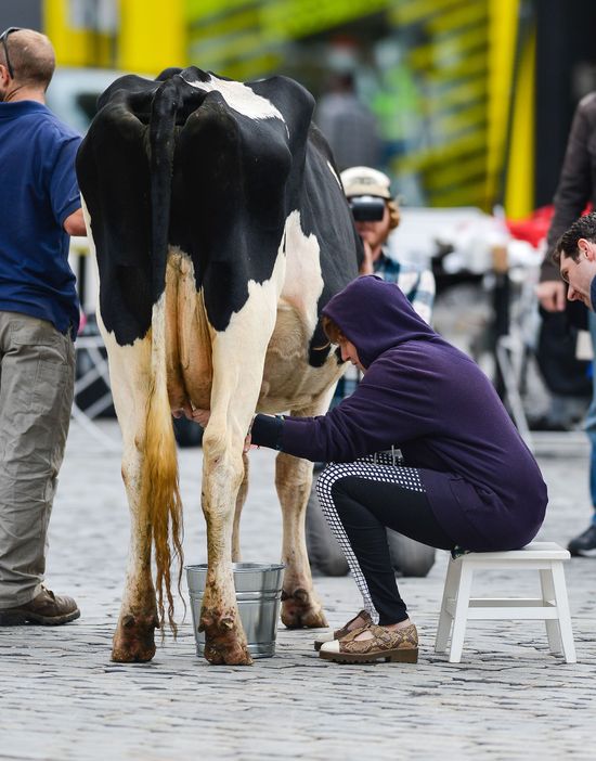 Lena Dunham doiła krowę na Manhattanie! (FOTO)