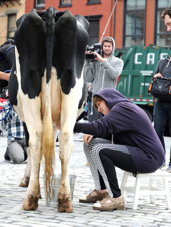 Lena Dunham doiła krowę na Manhattanie! (FOTO)