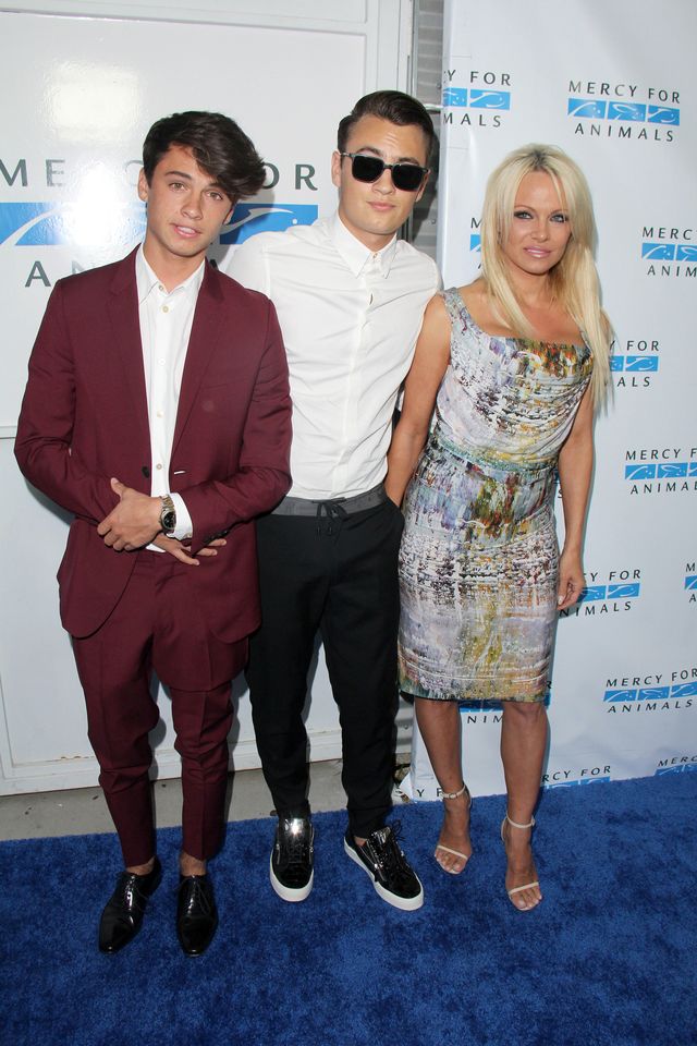 Oto syn Pameli Anderson. Co za PRZYSTOJNIAK!