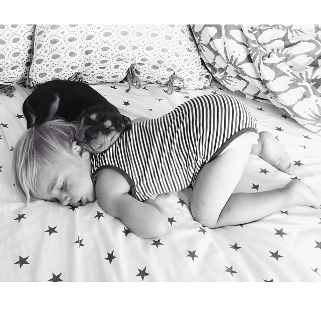 Theo i Beau - nowe gwiazdy internetu (FOTO)