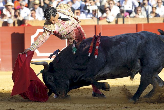 PRZERAŻAJĄCA śmierć na corridzie! Matador nie miał szans PRZERAŻAJĄCA śmierć na corridzie! Matador nie miał szans