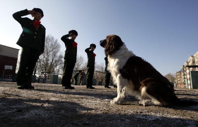 To zdjęcie chłopca chorego na autyzm może wywołać łzy