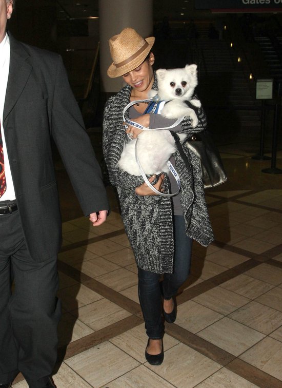 Wypoczęta Jenna Dewan z psem na lotnisku (FOTO) Wypoczęta Jenna Dewan z psem na lotnisku (FOTO)
