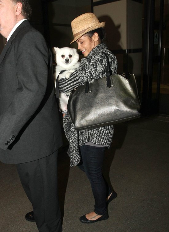 Wypoczęta Jenna Dewan z psem na lotnisku (FOTO) Wypoczęta Jenna Dewan z psem na lotnisku (FOTO)