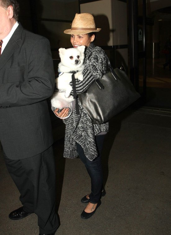Wypoczęta Jenna Dewan z psem na lotnisku (FOTO) Wypoczęta Jenna Dewan z psem na lotnisku (FOTO)