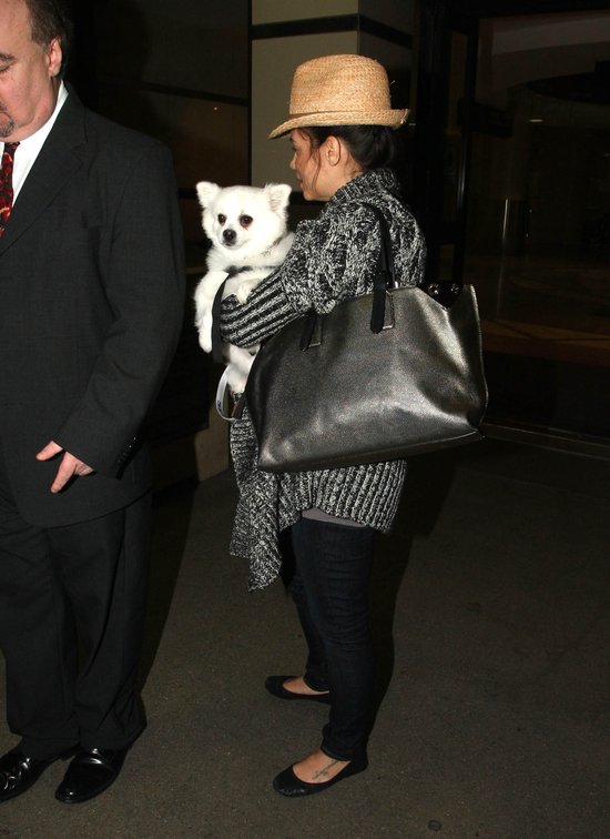 Wypoczęta Jenna Dewan z psem na lotnisku (FOTO) Wypoczęta Jenna Dewan z psem na lotnisku (FOTO)