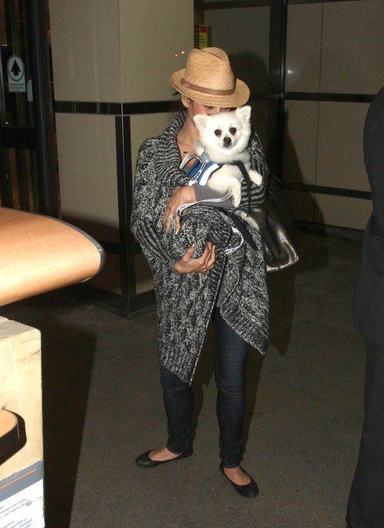 Wypoczęta Jenna Dewan z psem na lotnisku (FOTO) Wypoczęta Jenna Dewan z psem na lotnisku (FOTO)