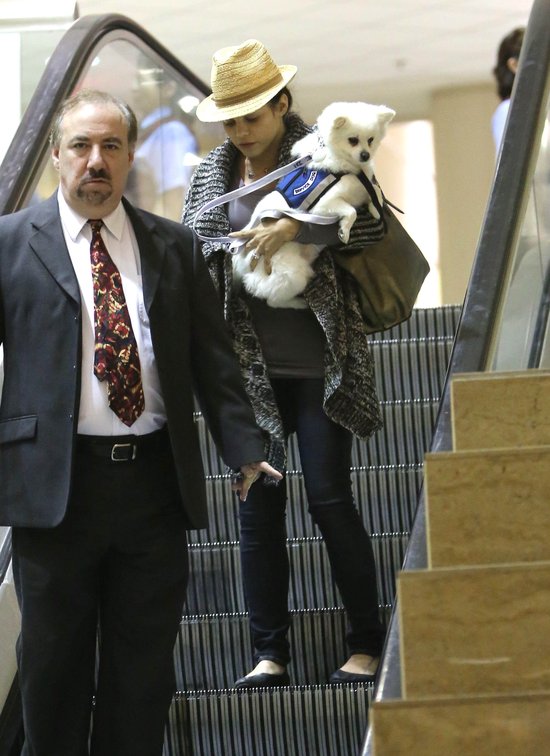Wypoczęta Jenna Dewan z psem na lotnisku (FOTO) Wypoczęta Jenna Dewan z psem na lotnisku (FOTO)