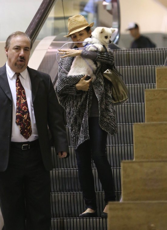 Wypoczęta Jenna Dewan z psem na lotnisku (FOTO) Wypoczęta Jenna Dewan z psem na lotnisku (FOTO)