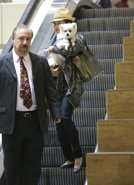 Wypoczęta Jenna Dewan z psem na lotnisku (FOTO)