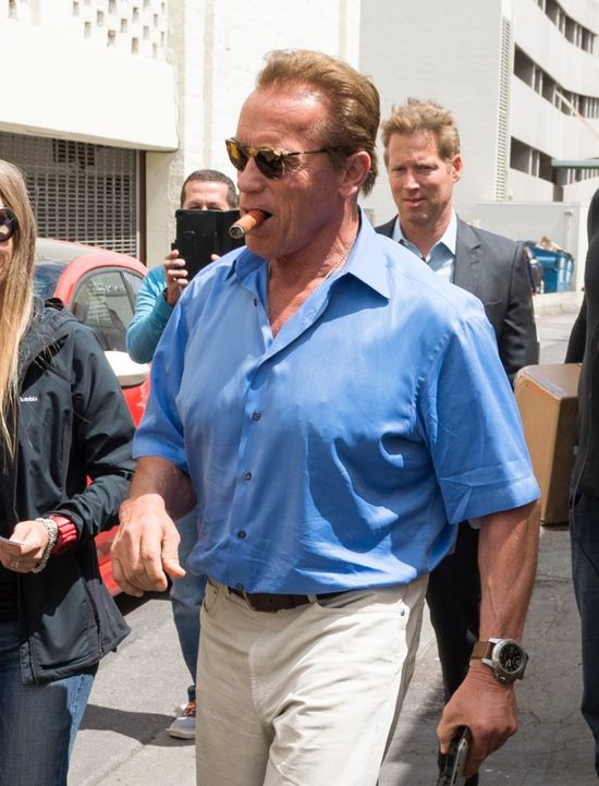 Arnold Schwarzenegger został zaatakowany przez... SŁONIA! Arnold Schwarzenegger został zaatakowany przez... SŁONIA!