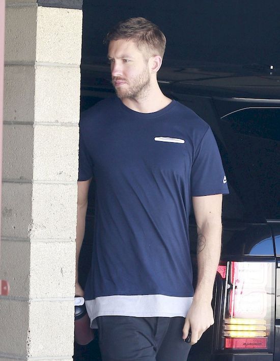 Taylor Swift i Calvin Harris znowu się przyjaźnią!