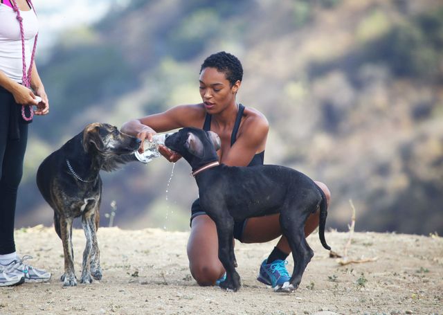 Montana Fishburne pożegnała się z branżą porno? (FOTO)