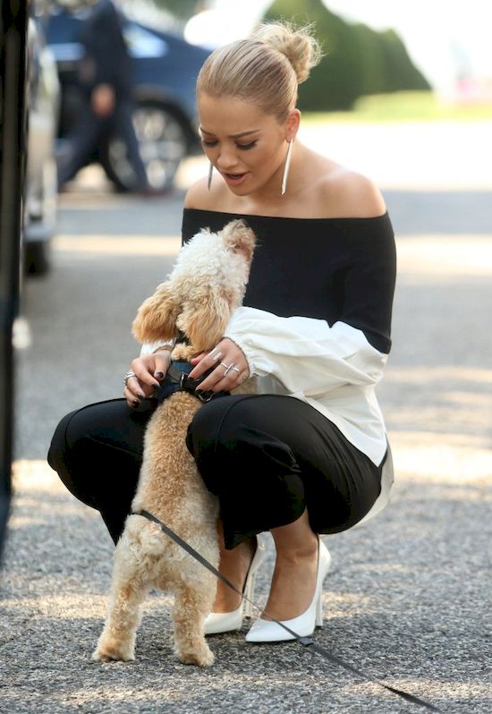 Urocze! Rita Ora nie mogła się oprzeć, kiedy zobaczyła... (FOTO)