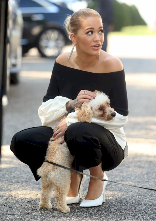 Urocze! Rita Ora nie mogła się oprzeć, kiedy zobaczyła... (FOTO)