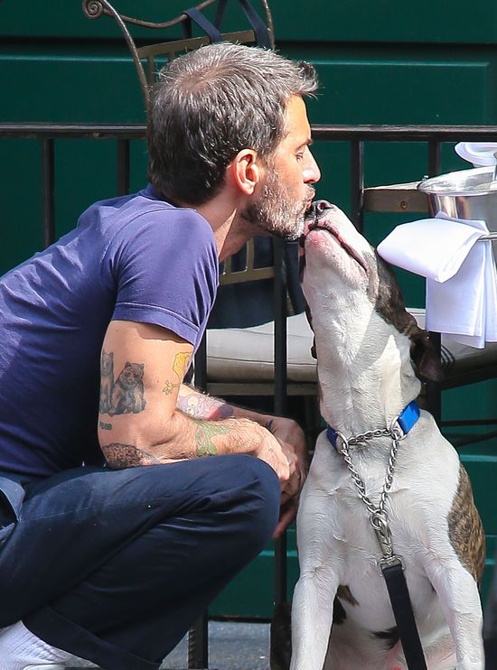 Buzi-buzi ze swoim bulterierem (FOTO) Buzi-buzi ze swoim bulterierem (FOTO)