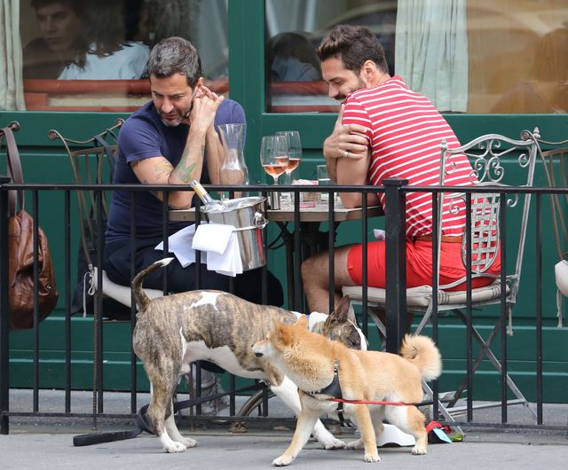 Buzi-buzi ze swoim bulterierem (FOTO) Buzi-buzi ze swoim bulterierem (FOTO)