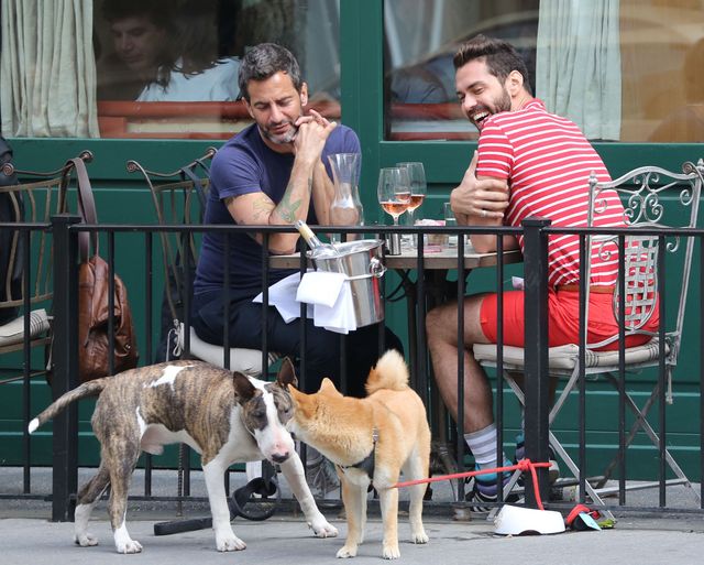 Buzi-buzi ze swoim bulterierem (FOTO) Buzi-buzi ze swoim bulterierem (FOTO)