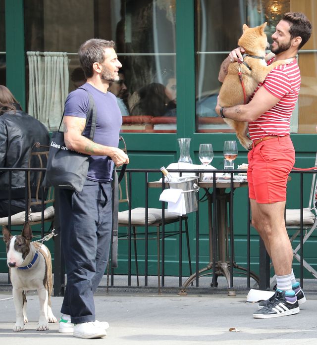 Buzi-buzi ze swoim bulterierem (FOTO) Buzi-buzi ze swoim bulterierem (FOTO)