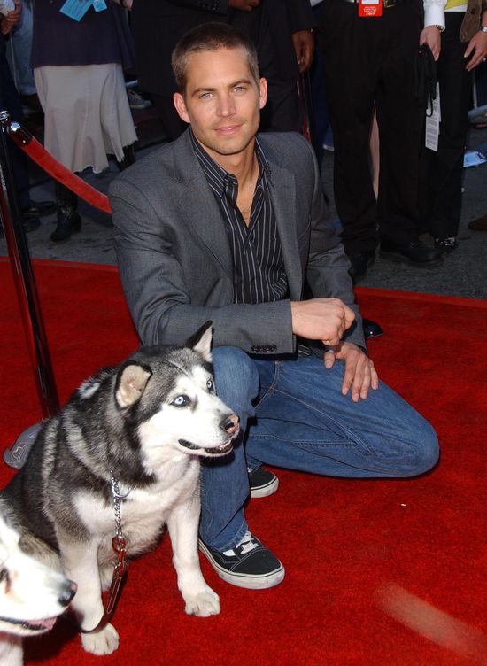 Niepublikowany FILM z Paulem Walkerem ujrzał światło dzienne! 