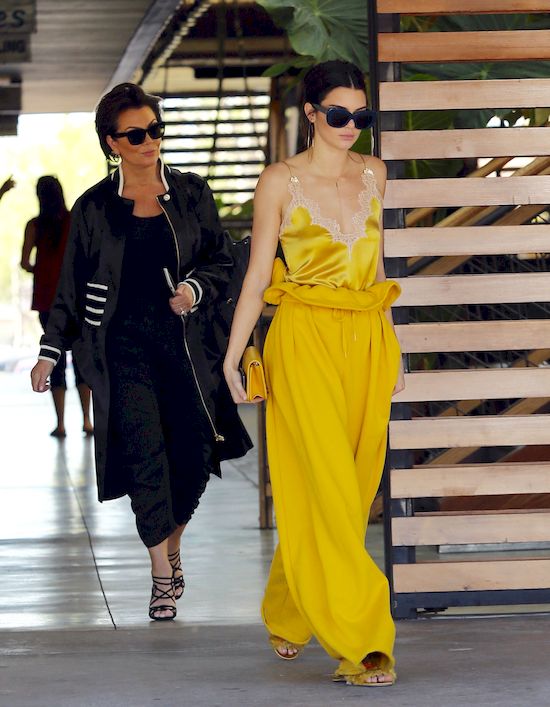 Kendall Jenner OKRADZIONA! Celebrytce zabrano aż...