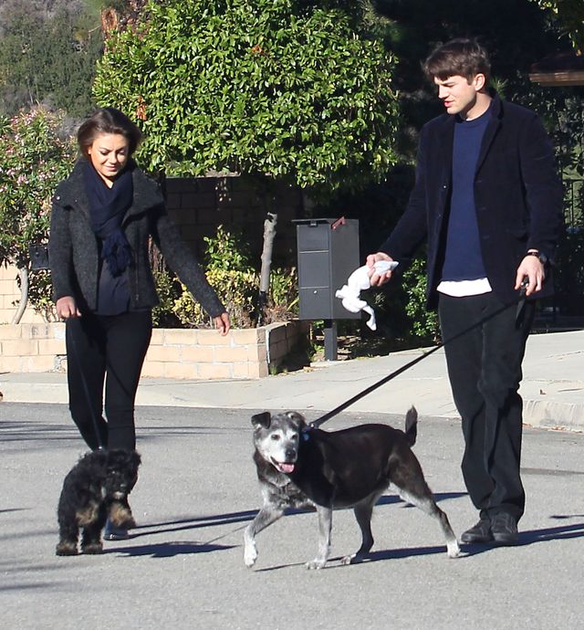 Mila Kunis i Ashton Kutcher ZARĘCZYLI SIĘ!