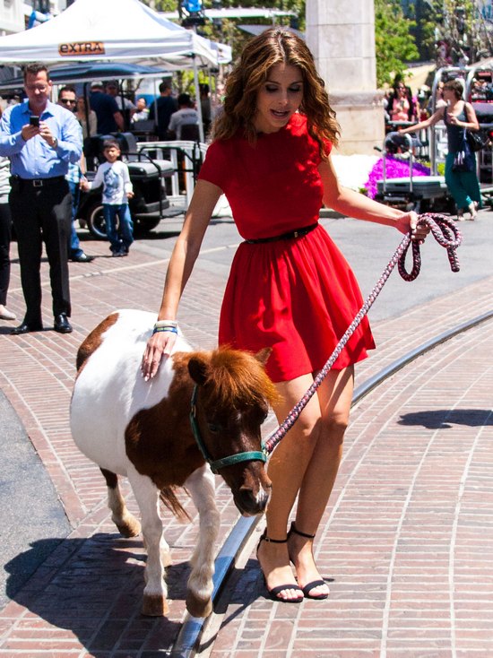 Maria Menounos na spacerze z... kucykiem (FOTO)