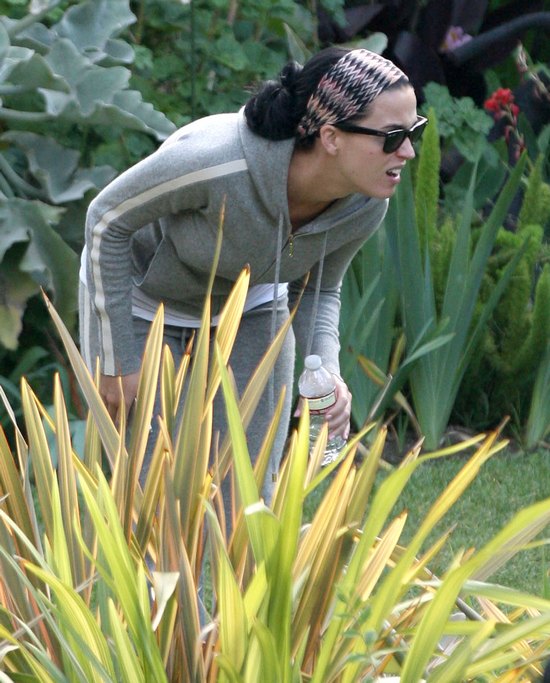 Katy Perry na co dzień (FOTO)