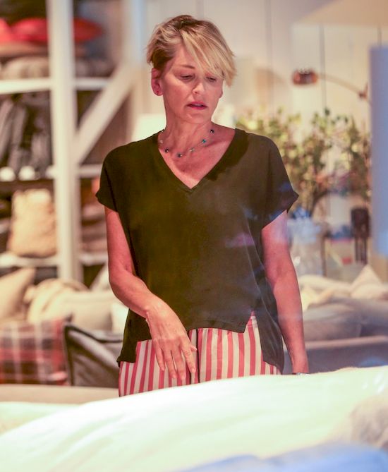 Sharon Stone ma problemy z psychopatą! Fanatyk niedługo wyjdzie z więzienia Sharon Stone ma problemy z psychopatą! Fanatyk niedługo wyjdzie z więzienia