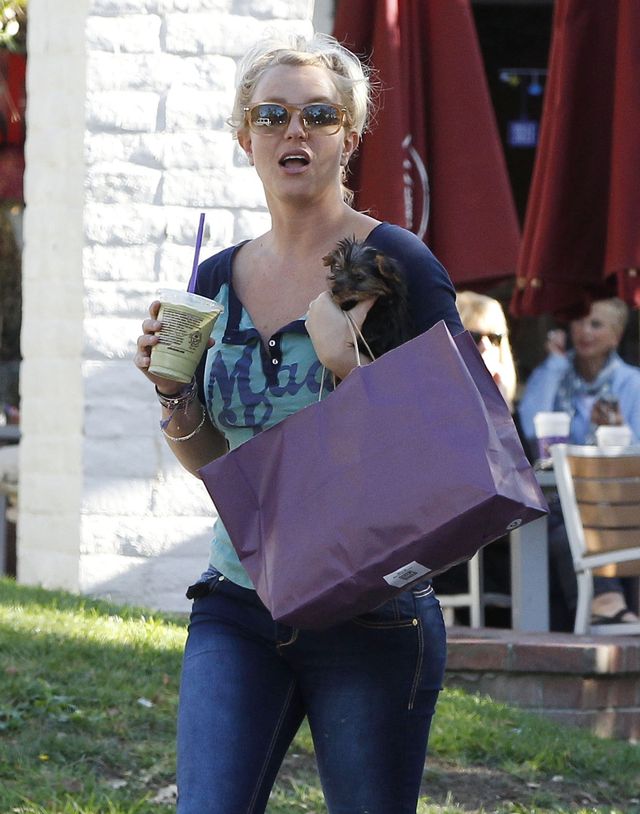 Britney Spears - zwykły dzień z dziećmi (FOTO) Britney Spears - zwykły dzień z dziećmi (FOTO)