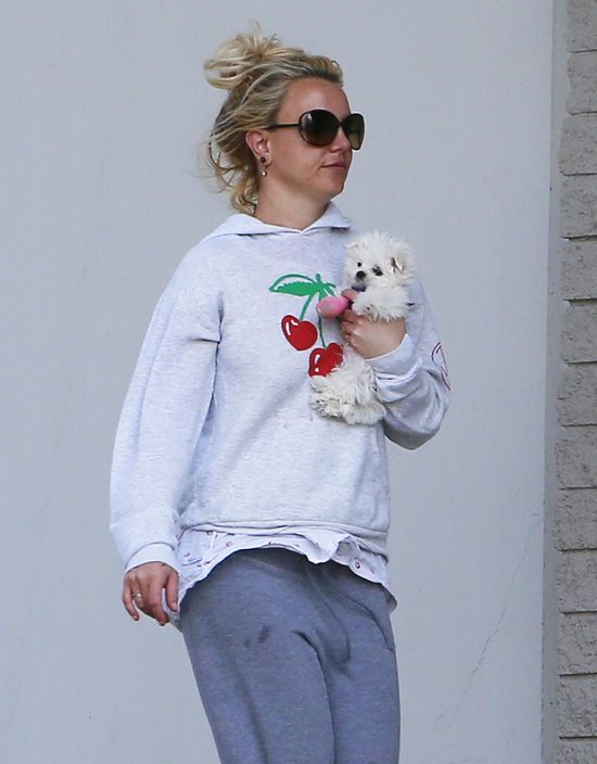 Britney Spears ma nowego chłopaka?