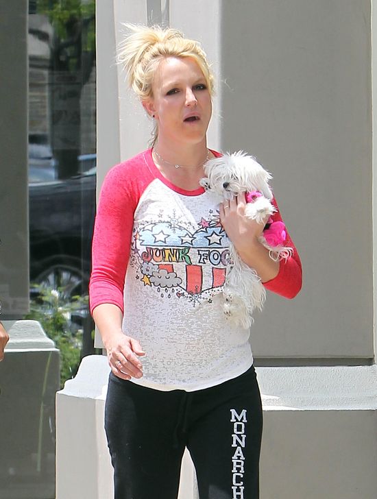 Jakiej części ciała nie lubi u siebie Britney Spears? 