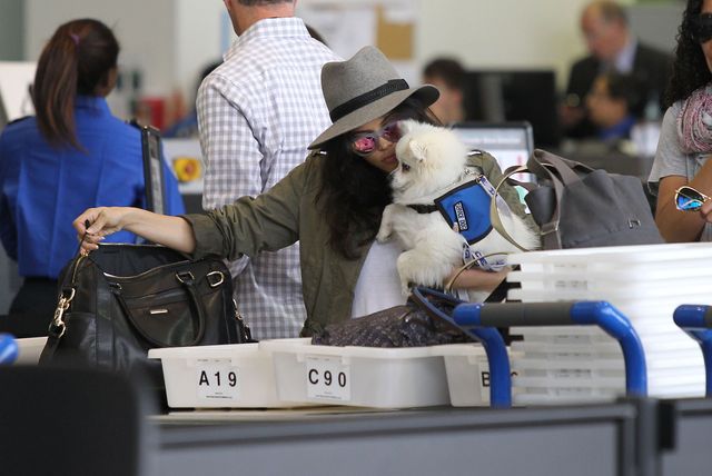 Channing Tatum z żoną i córeczką na lotnisku (FOTO)