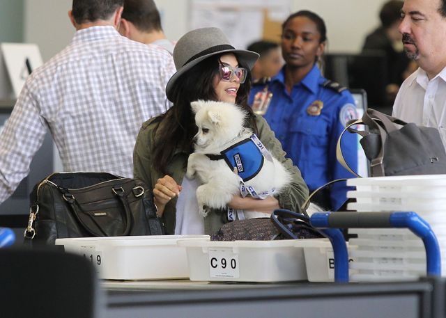 Channing Tatum z żoną i córeczką na lotnisku (FOTO)