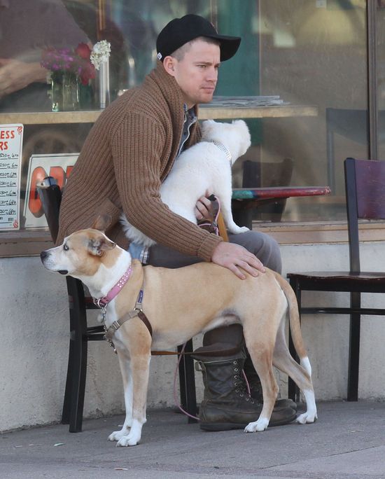 Jenna Dewan: Channing był dla mnie wyrozumiały podczas ciąży Jenna Dewan: Channing był dla mnie wyrozumiały podczas ciąży