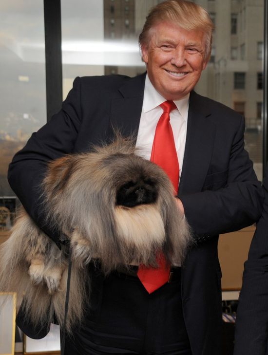 Zaskakujące słowa Nicole Kidman o Donaldzie Trumpie (VIDEO)