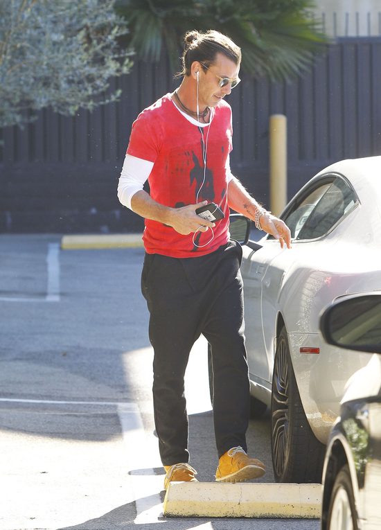 Gavin Rossdale nie wygląda na przybitego rozstaniem z Gwen